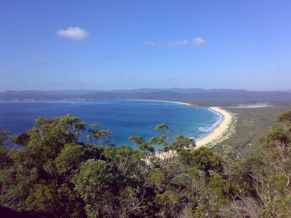 Elevated view over bush to a long sandy bay and forested headland