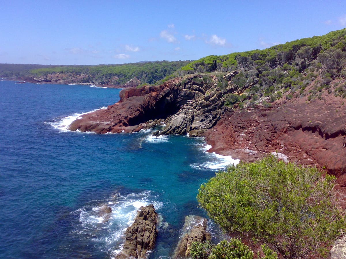 Red rocky headland running into breaking surf, green coastal shrubs in the foreground