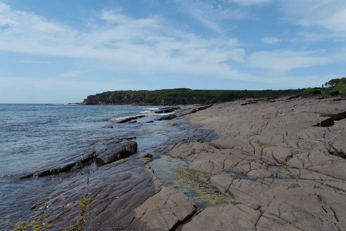 Flat rock platform shoreline with the sea on the left and a forested headland ahead