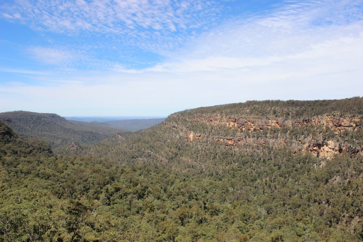 Panorama over a forested valley to a flat-topped sandstone escarpment under blue sky with cirrus cloud