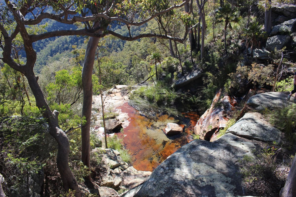 Orange-stained sandstone rock pools and boulders at the edge of a tree-lined gorge