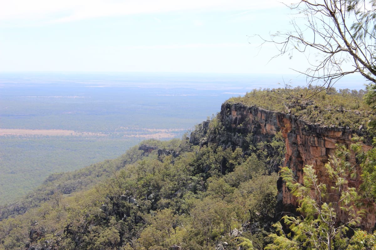 Forested sandstone escarpment cliff above a vast plain stretching to the horizon
