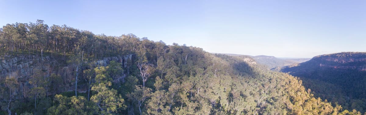 Aerial panorama of forested tableland ranges and valleys toward a hazy horizon