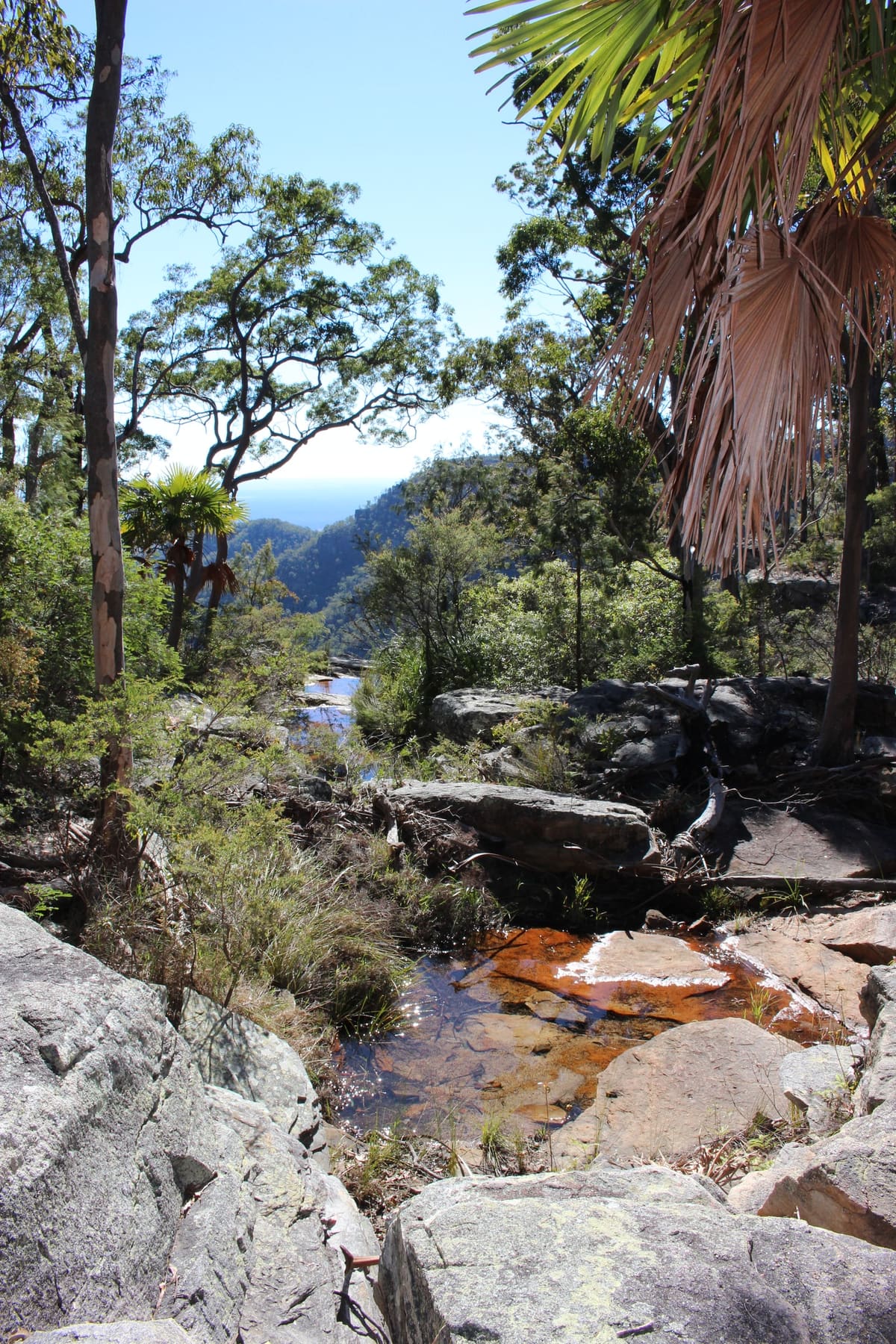 Rocky creek with boulders and a palm, a gap in the trees revealing distant flat plains