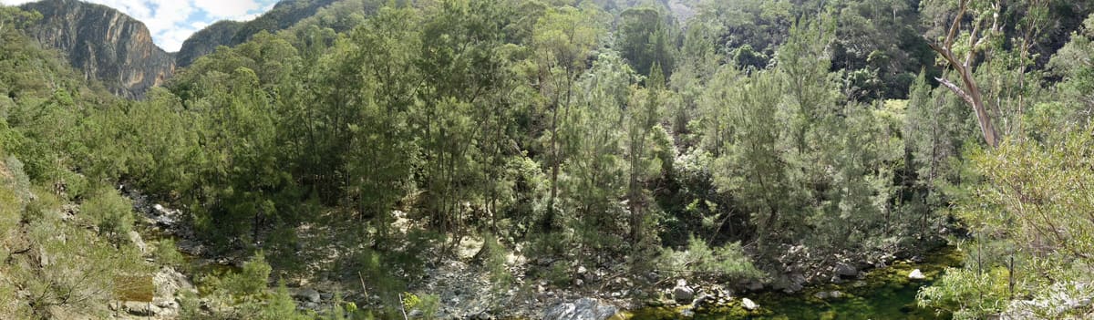 Green pool and rocky creek bed below forested gorge walls and a pale limestone cliff