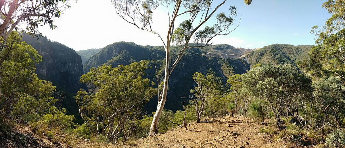 Eucalypts overlook a gorge valley with a pale limestone quarry cut into hills beyond