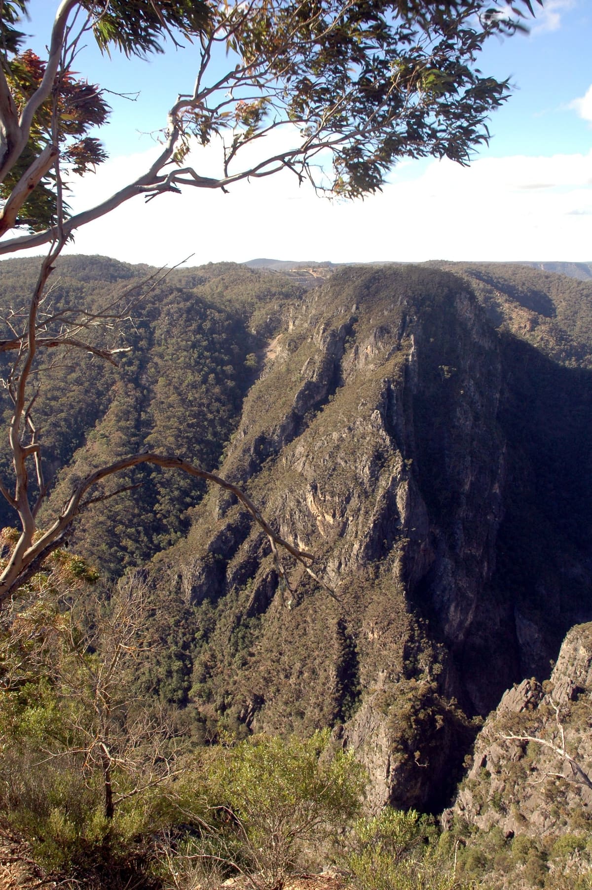 Vertical view down dark rocky gorge walls, framed by overhanging eucalypt branches