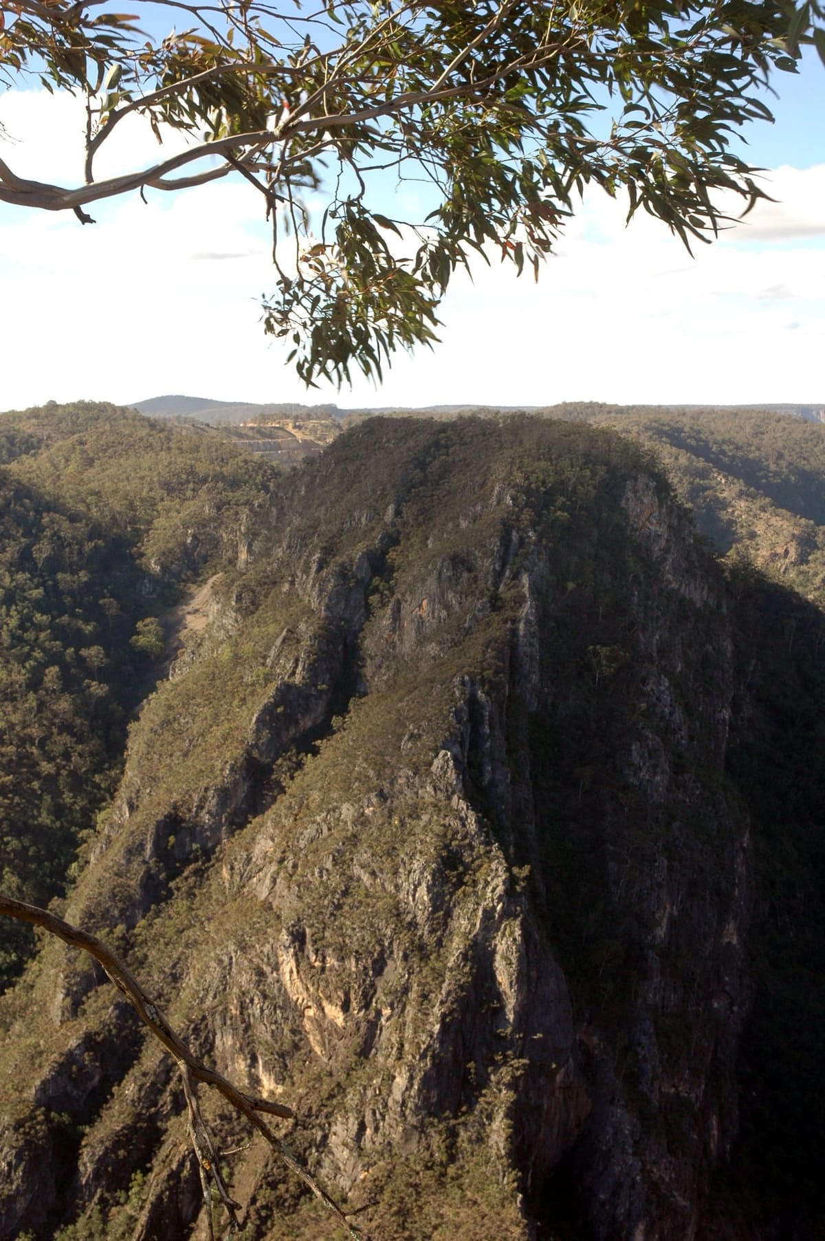 Steep lit cliff and ridge face beneath an overhanging gum branch