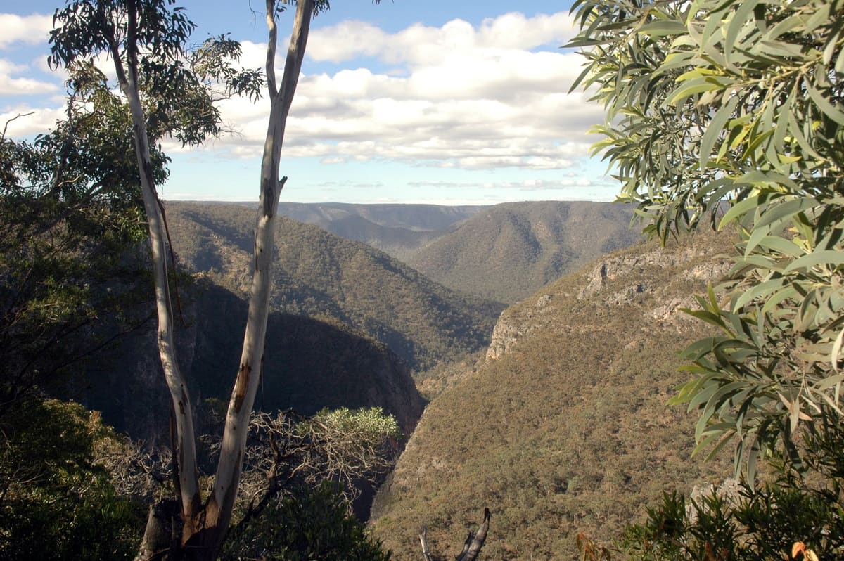 Bungonia National Park