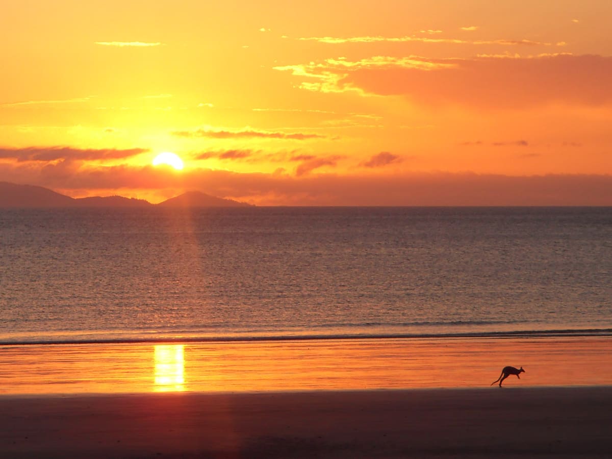 Sunrise over the sea with golden reflection on the water and a tiny kangaroo silhouette on wet sand