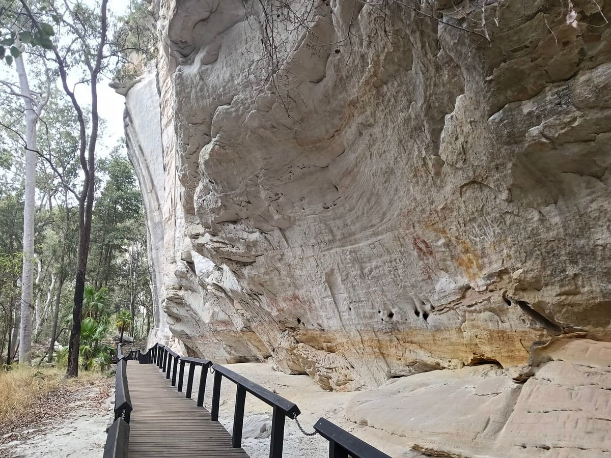 The sandstone overhang and boardwalk at the Art Gallery, one of Carnarvon Gorge's Aboriginal rock art sites, on Bidjara and Karingbal Country