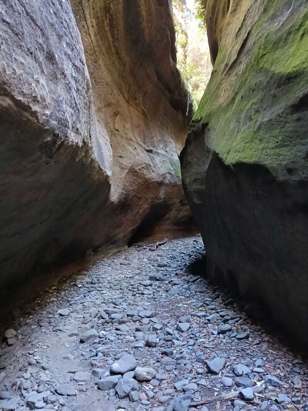 A narrow side canyon along the Boowinda Gorge walk, Carnarvon Gorge