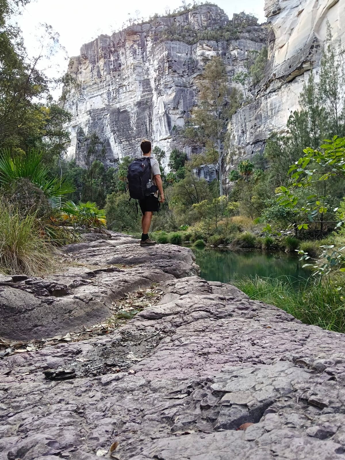 A quiet pool along the walk into Boowinda Gorge, Carnarvon Gorge