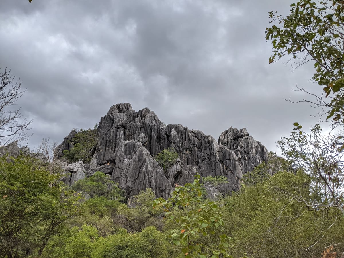 Tall jagged limestone karst tower among green scrub under cloud, foliage at right