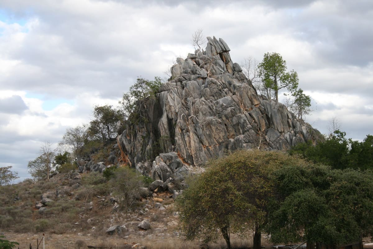 Craggy limestone boulder outcrop with a tree on its flank, bush foreground