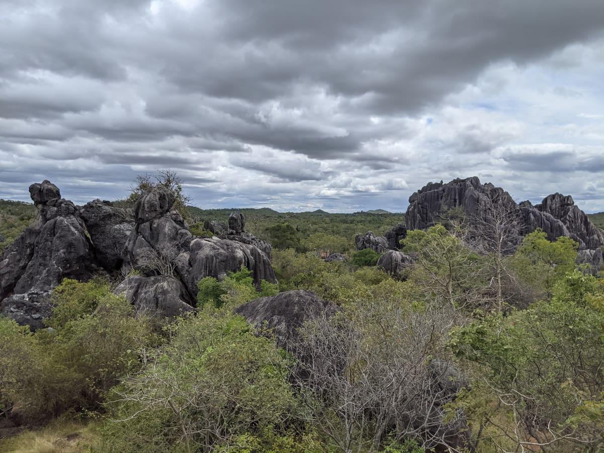Grey limestone outcrops with jagged edges along a ridge, scrubby foreground, overcast sky