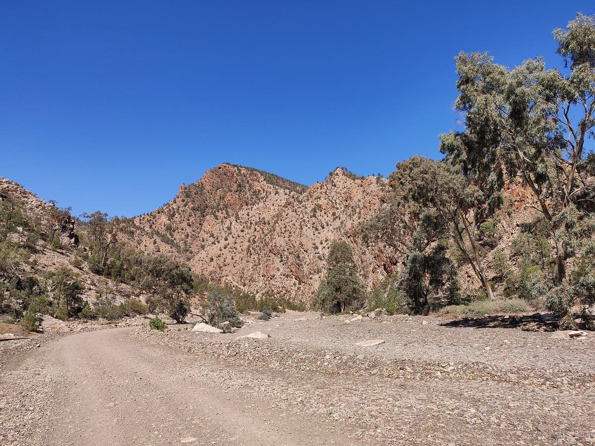 The unsealed Brachina Gorge road runs along a stony creek bed between steep red quartzite walls