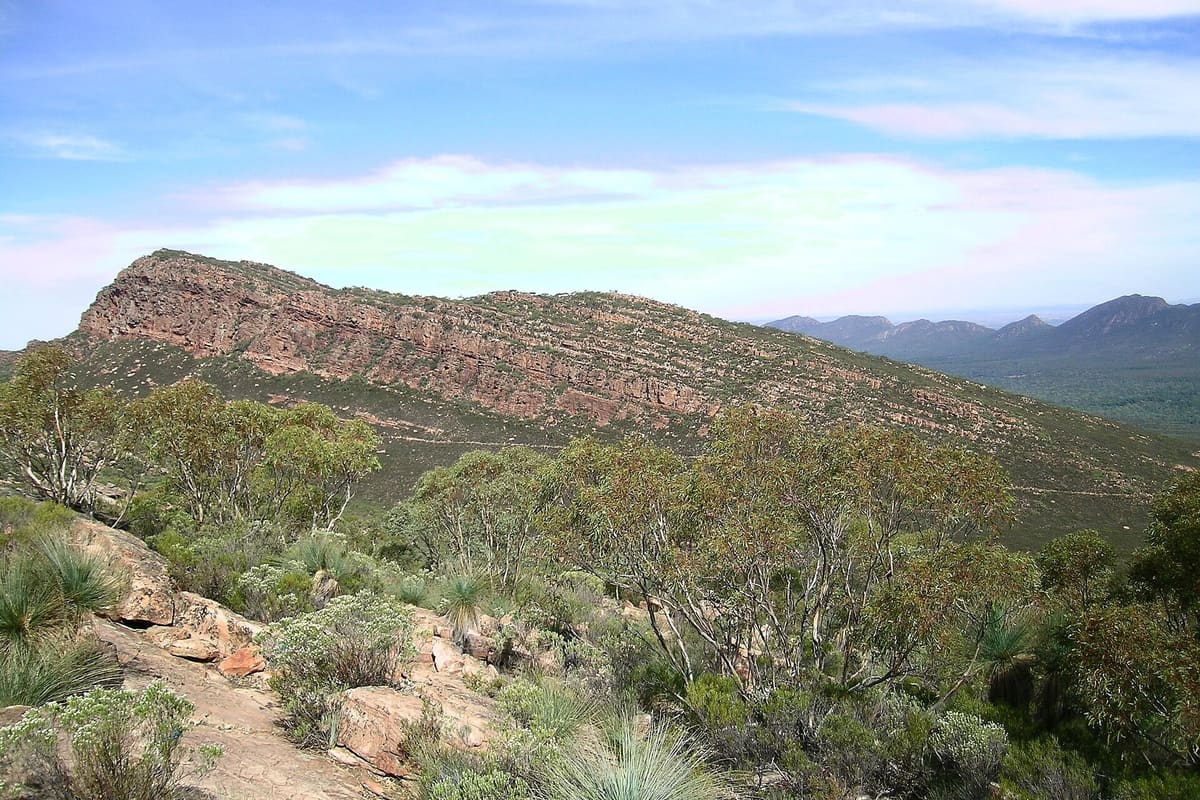 Layered quartzite cliffs on the wall of Wilpena Pound above green scrub and a rocky walking track