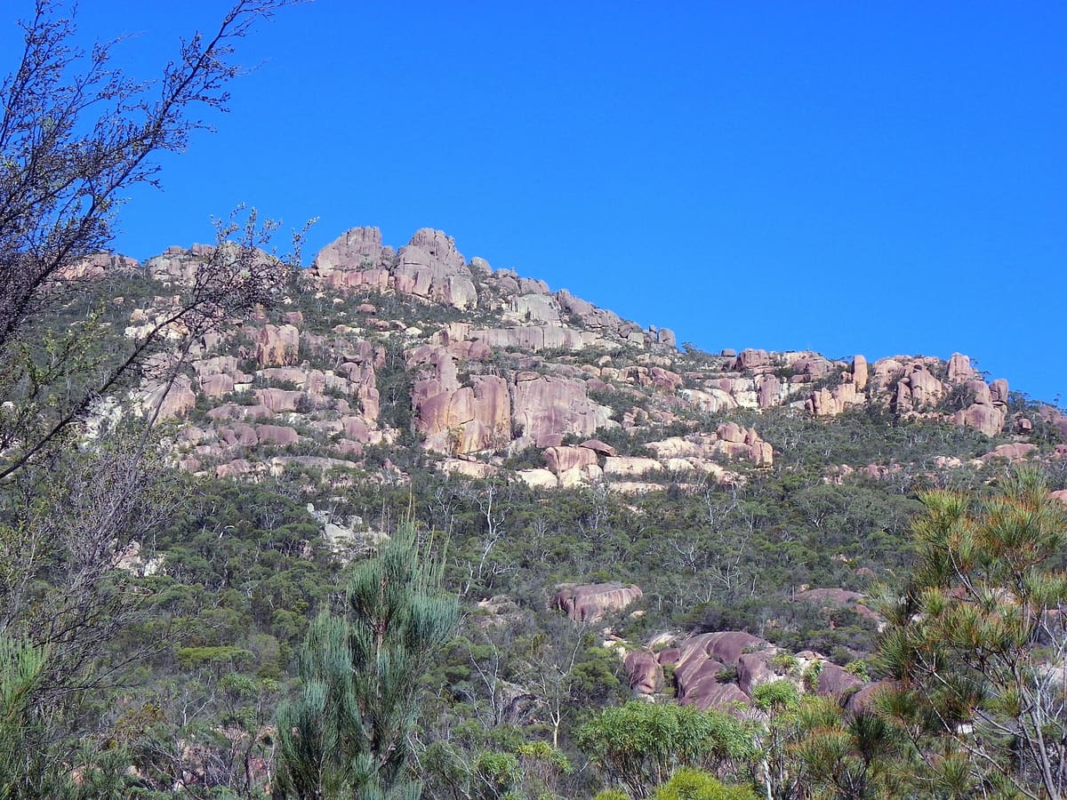 Pink granite hillside with low scrub and grass trees under blue sky on the Freycinet peninsula