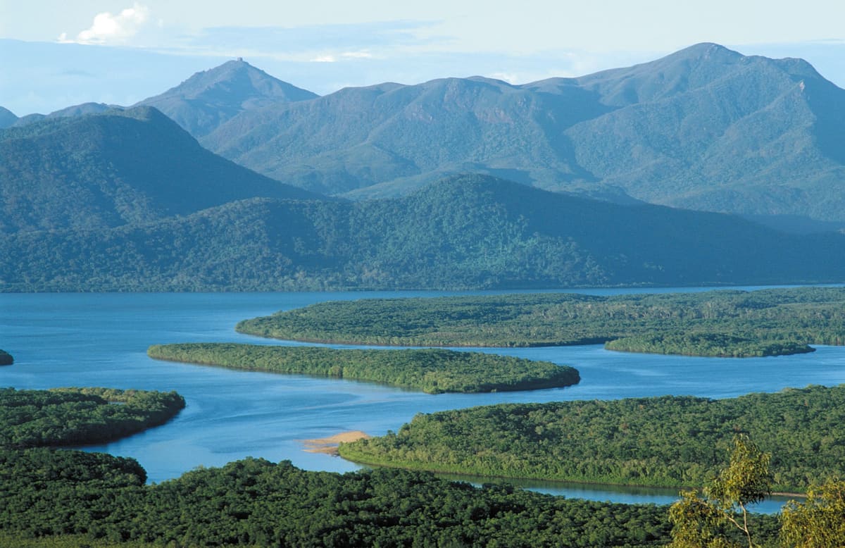 Winding tidal channel threading through mangrove islets, with forested ranges behind