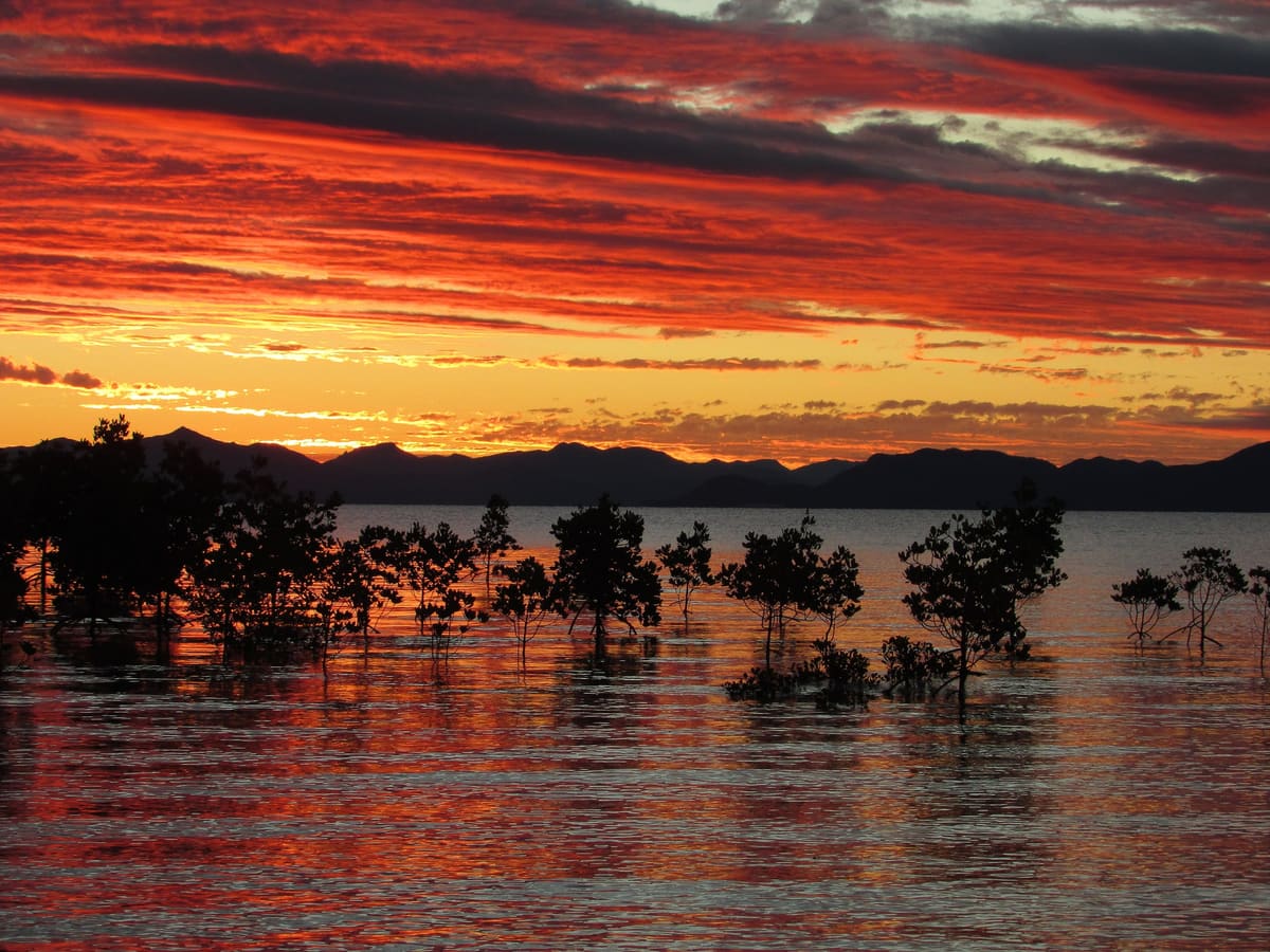 Fiery red-orange sunset sky reflected in water, with silhouetted mangroves and an island ridge