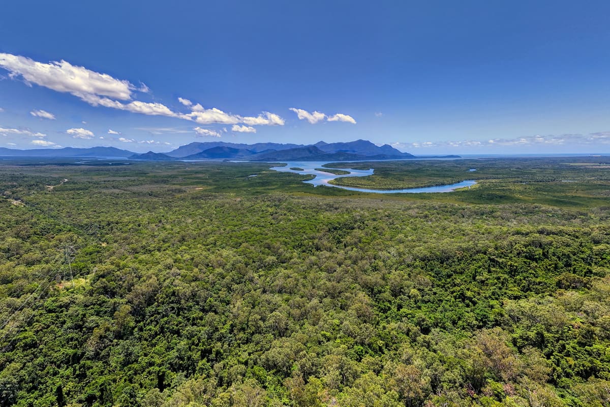 High aerial over green wetlands and a winding tidal river, mountain peaks on the horizon under scattered cloud