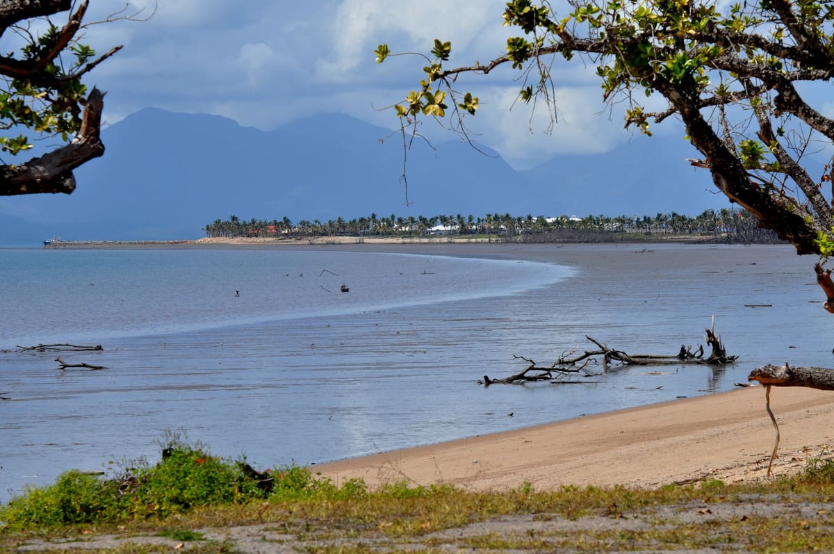 Low-tide beach with driftwood, a calm bay and a mountainous island across the water