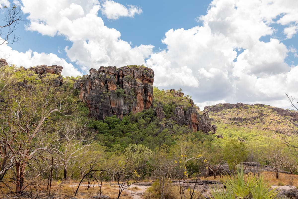 Rocky outcrop and cliff rising through eucalypt woodland beneath dramatic cumulus clouds