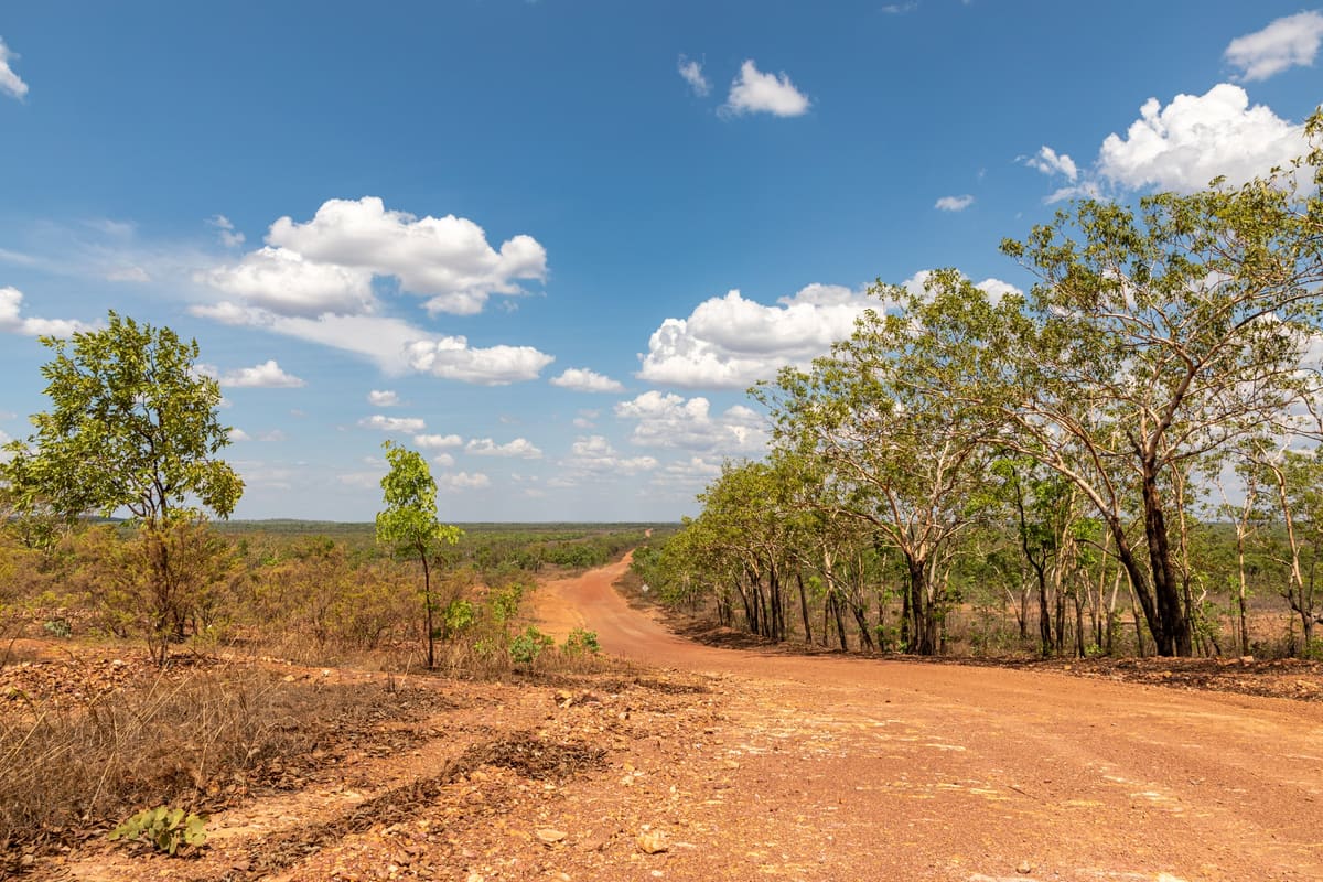 A red dirt road curving through savanna woodland under blue sky and cumulus clouds
