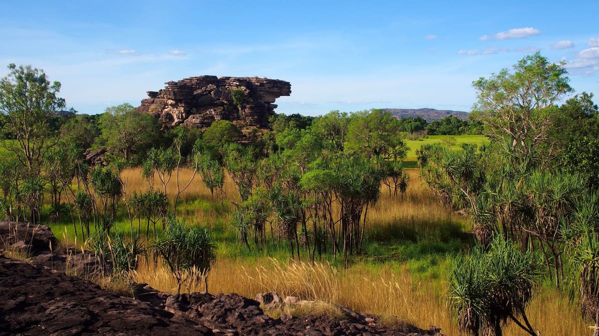 A rocky sandstone outcrop rising among trees above golden wetland grasses and floodplain