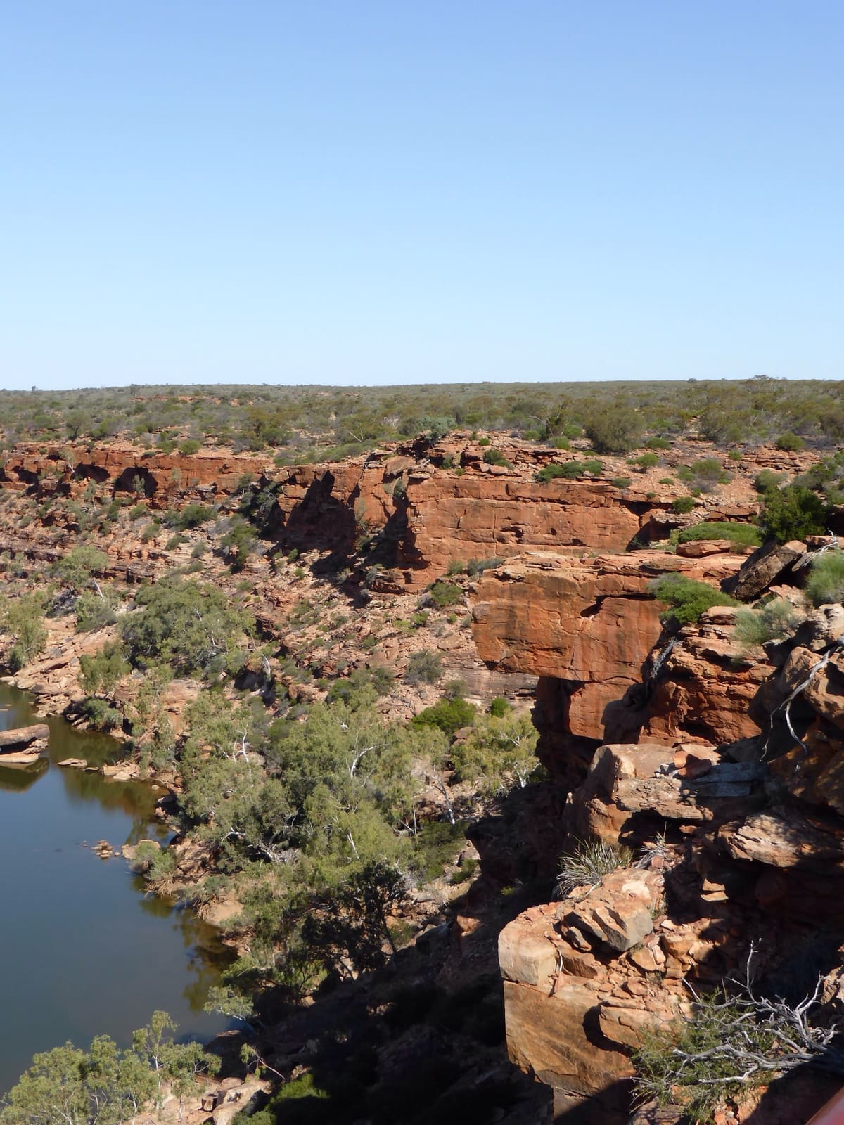 Red rock outcrops and shrubs beside the Murchison River in the gorge