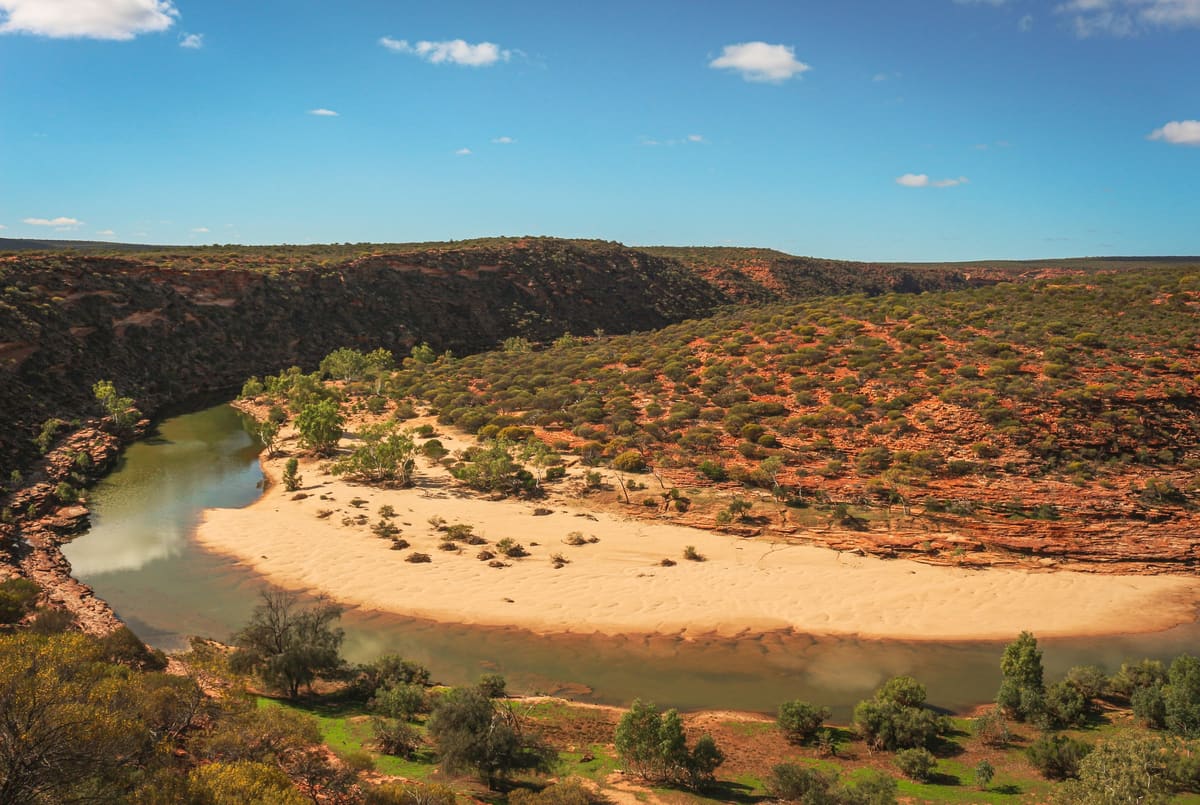 The Murchison River's loop and sandbar seen from a clifftop, between red gorge walls and green trees