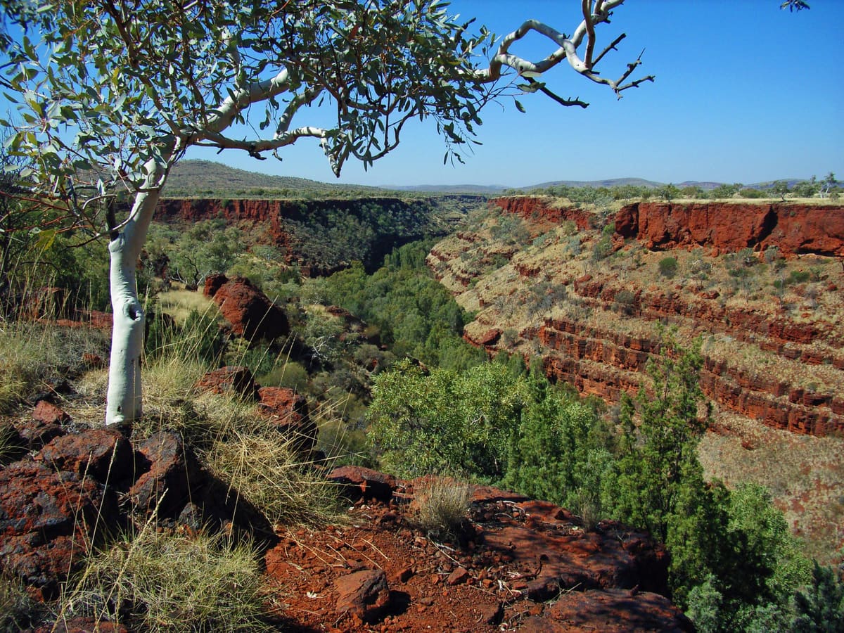 Layered red walls of Dales Gorge, seen from the rim above green trees on the gorge floor