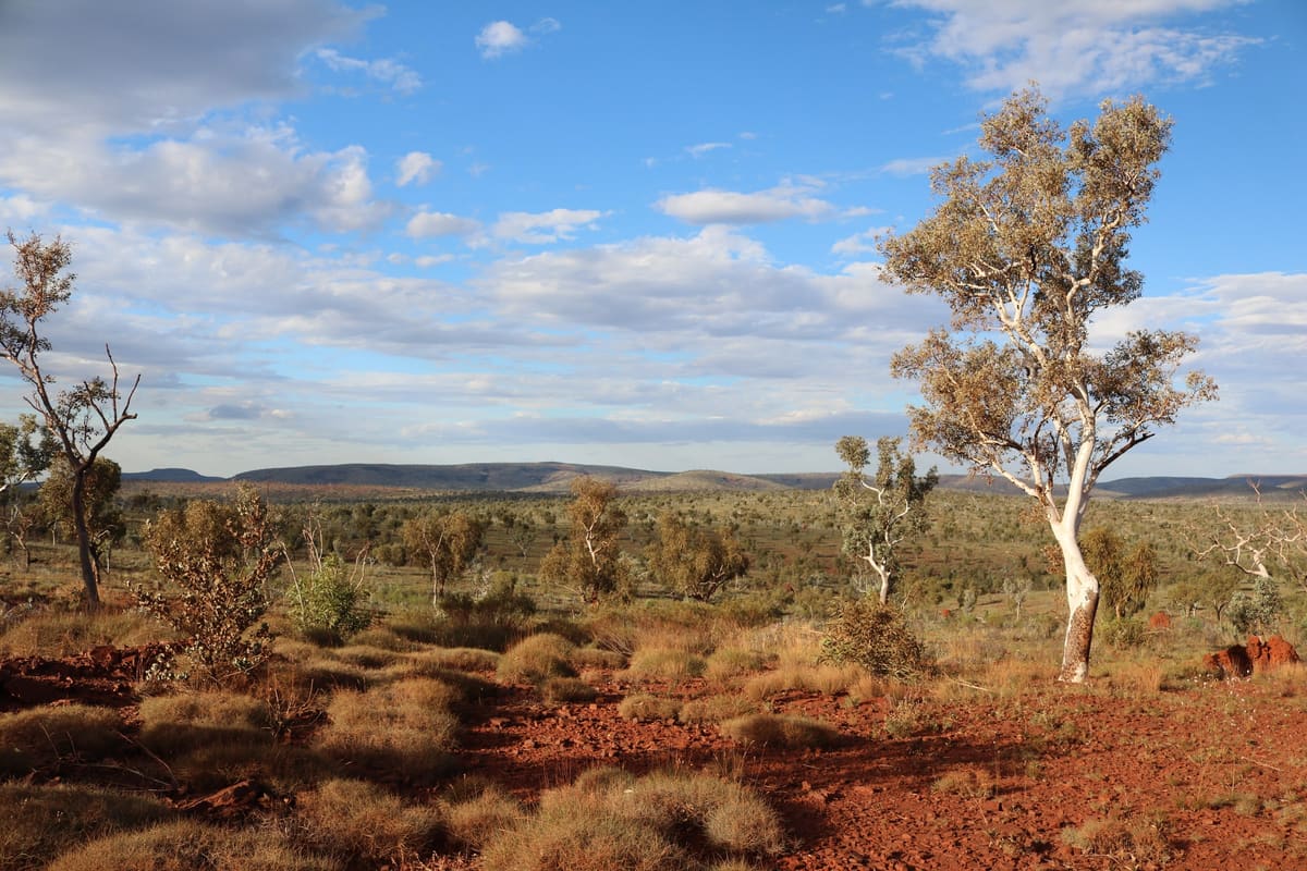 Red-soil plain with spinifex and sparse eucalypts under a big blue sky in Karijini