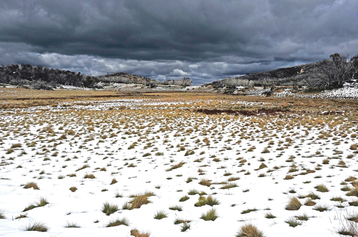 Snow-patched tussock grassland beneath heavy dark storm clouds and a distant ridgeline