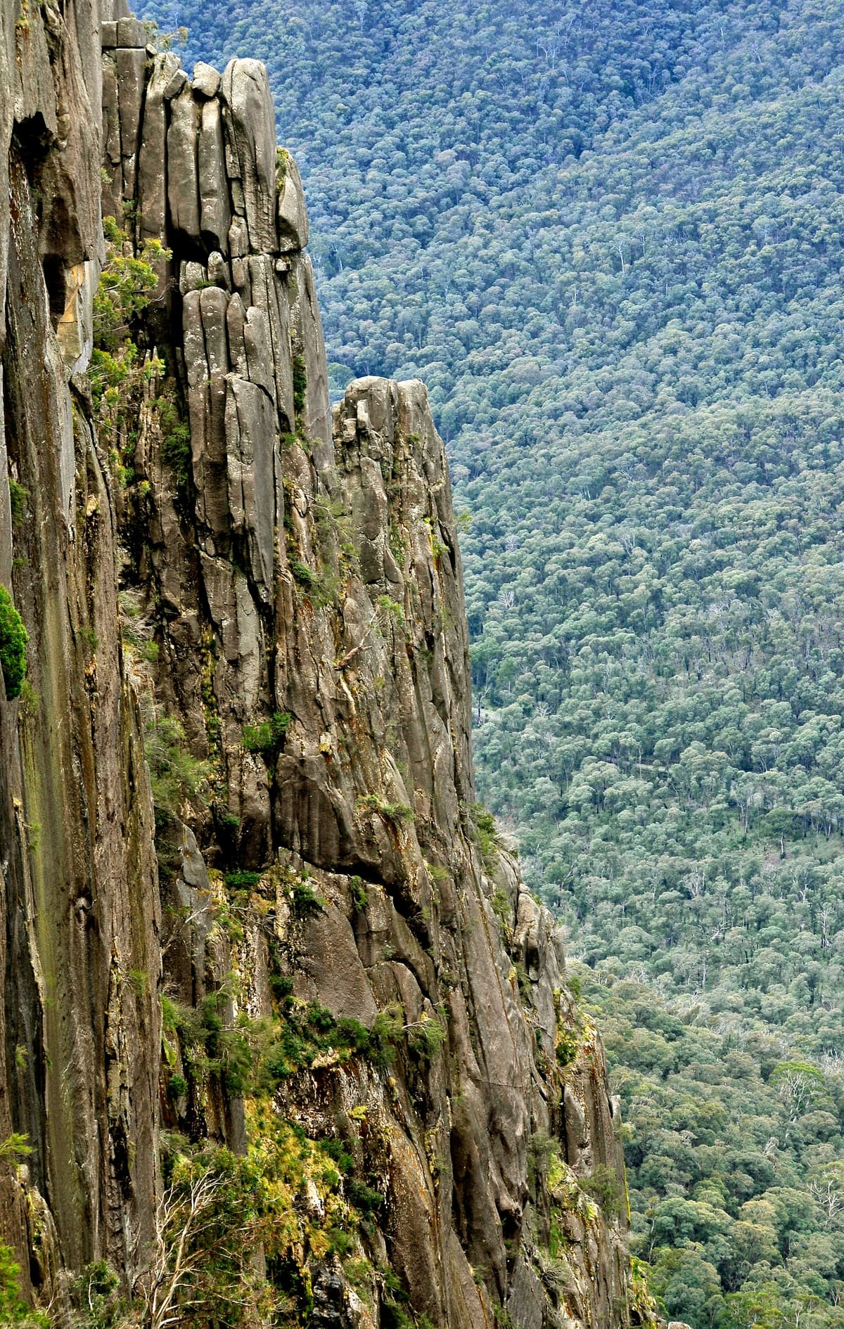 Tall columnar granite pinnacle rising above a forested slope