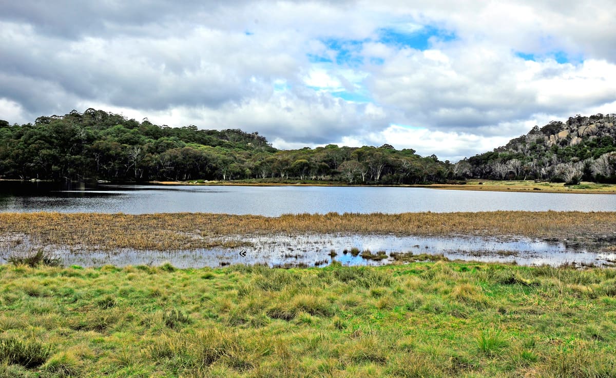 Lake Catani with tussocky marsh in front and low treed hills beyond