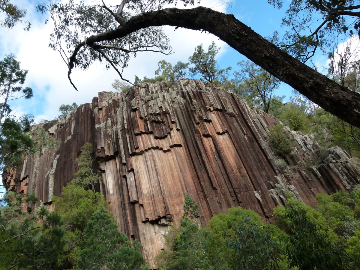 Tall wall of vertical columnar basalt at Sawn Rocks framed by overhanging branches