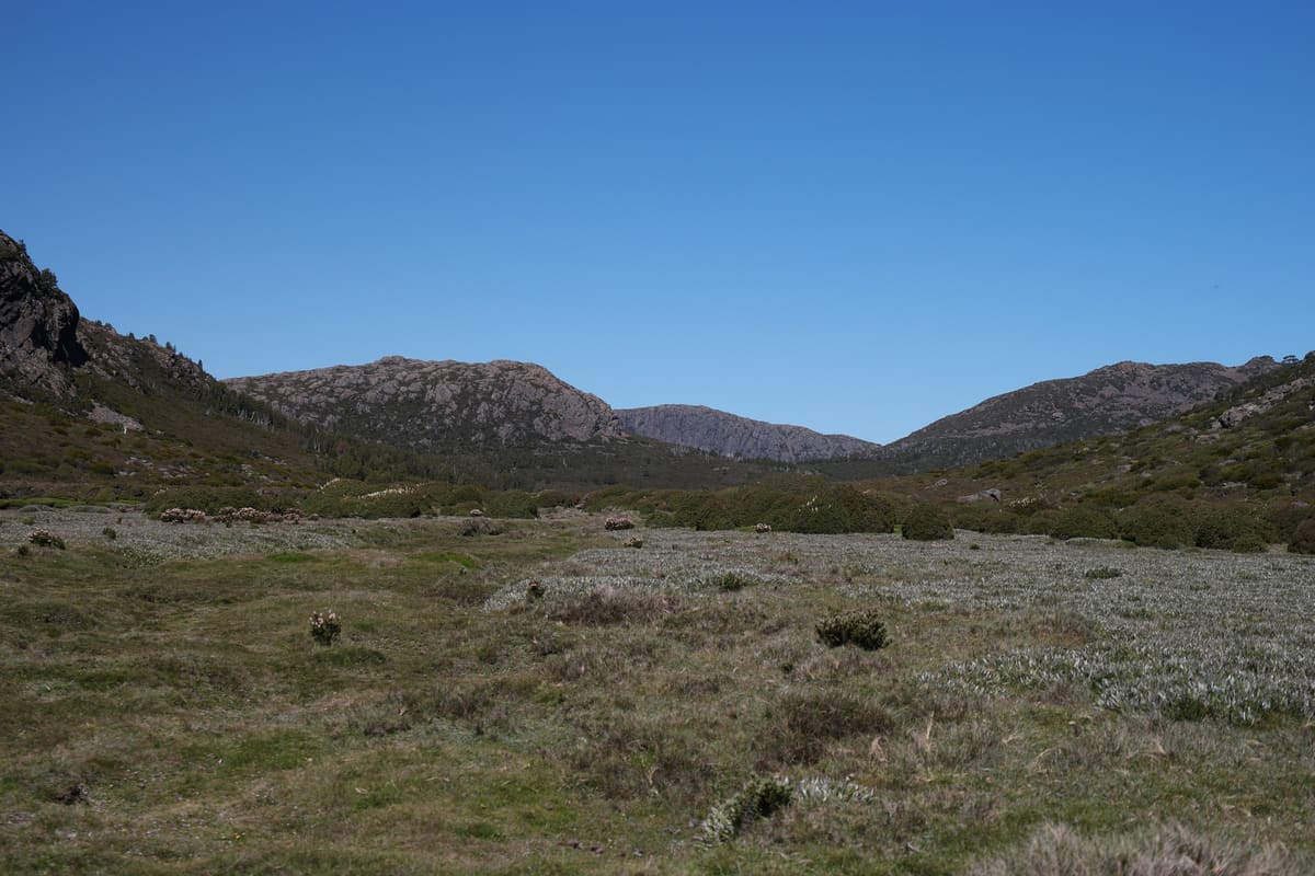 Wide open alpine plain with low scrub and a rocky mountain range beyond