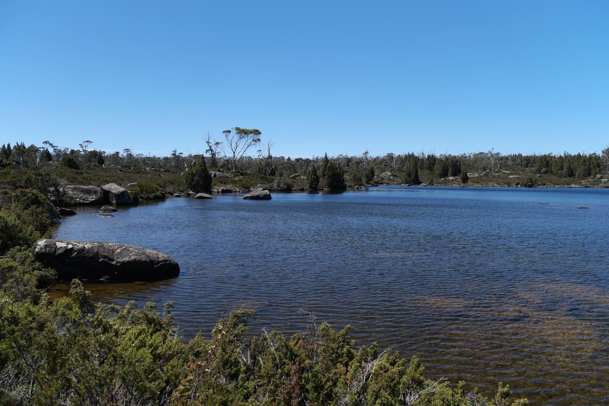 Clear lake with a rocky shore, low islet and pencil pines