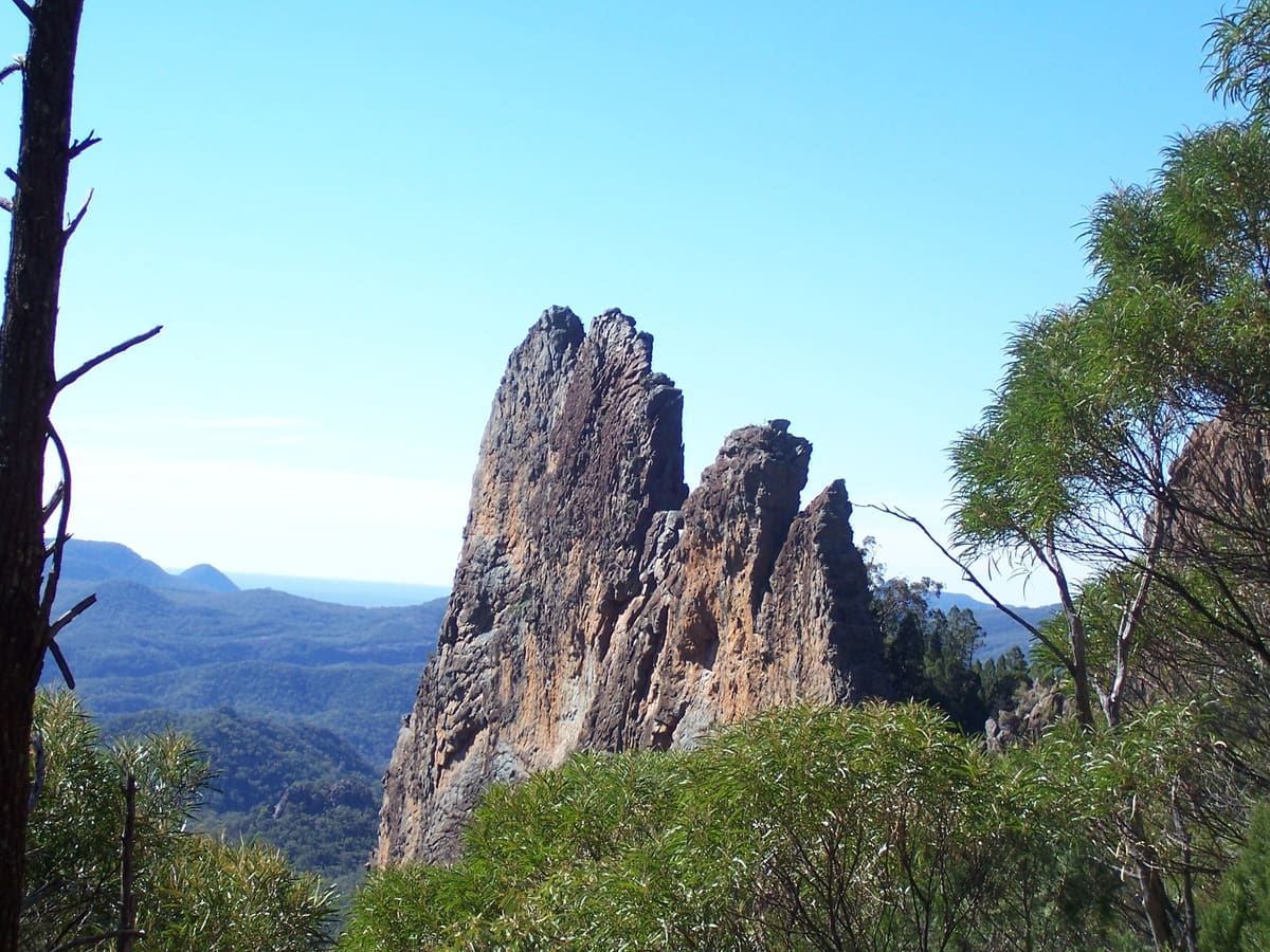 Rocky spires of the Breadknife framed by trees and a dead trunk from a walking track