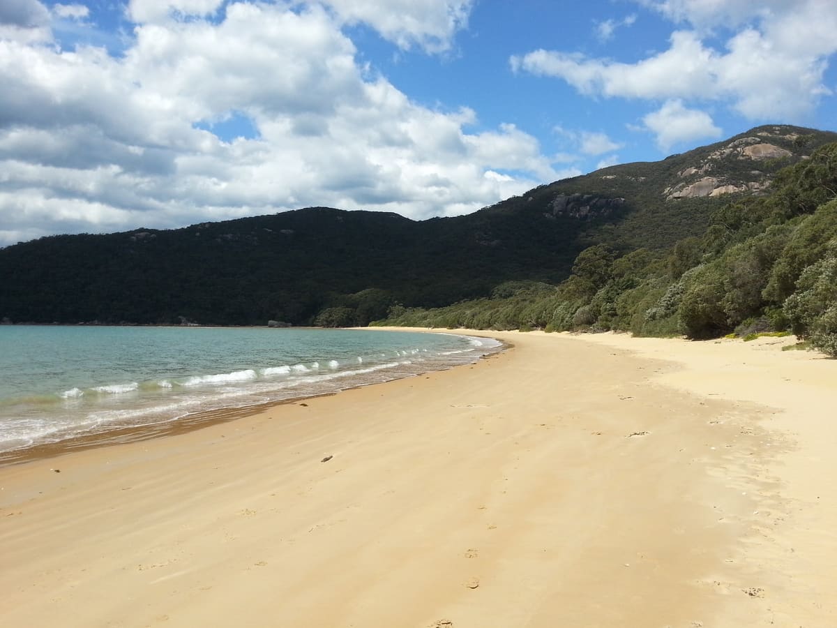 Wide sandy beach at Sealers Cove with turquoise surf, forested headland and blue cloud-flecked sky